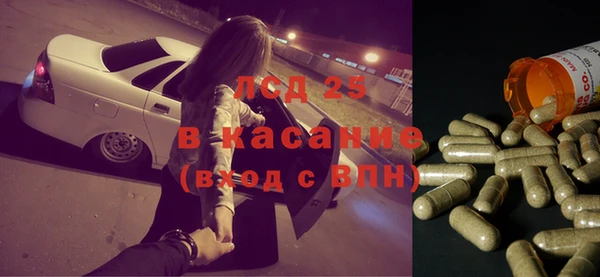ГАЛЛЮЦИНОГЕННЫЕ ГРИБЫ Новодвинск