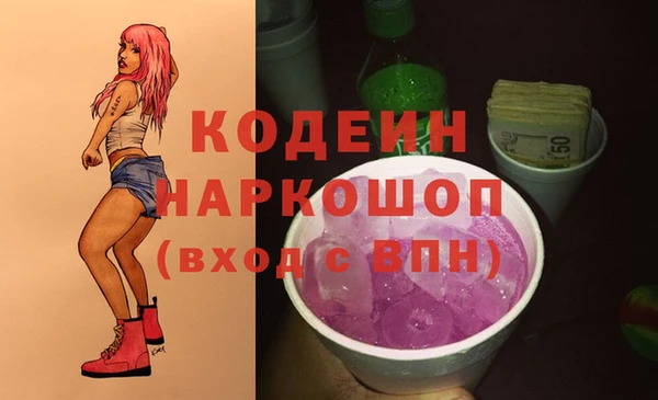 spice Няндома