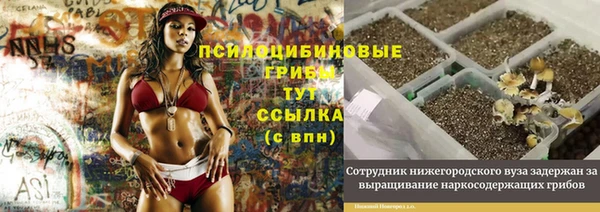 spice Няндома