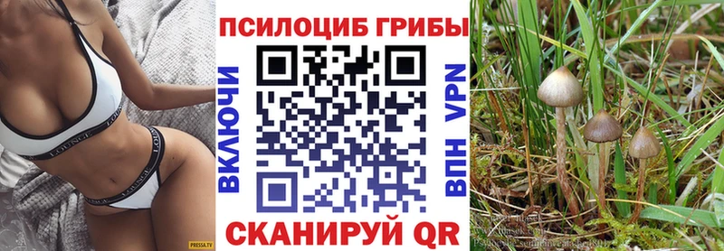 Псилоцибиновые грибы GOLDEN TEACHER  Котельниково 